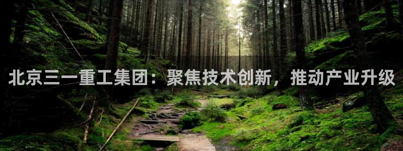 辉达娱乐招商：北京三一重工集团：聚焦技术创新，推动产业升级