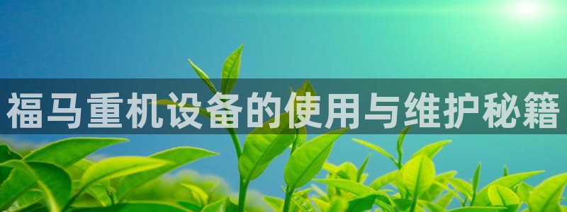 辉达平台娱乐怎么样：福马重机设备的使用与维护秘籍