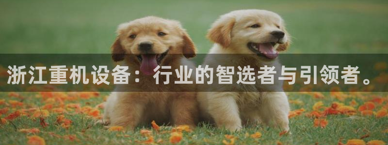 辉达娱乐公司：浙江重机设备：行业的智选者与引领者。