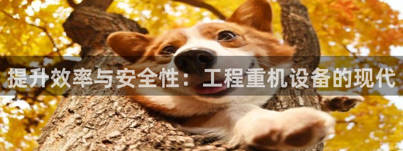 辉达娱乐福彩：提升效率与安全性：工程重机设备的现代