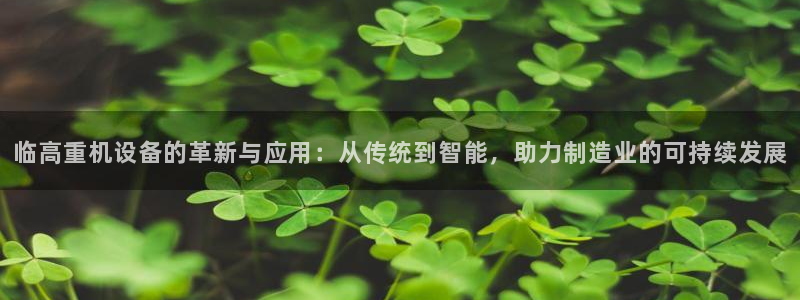 辉达娱乐兼职：临高重机设备的革新与应用：从传统到智能，助力制