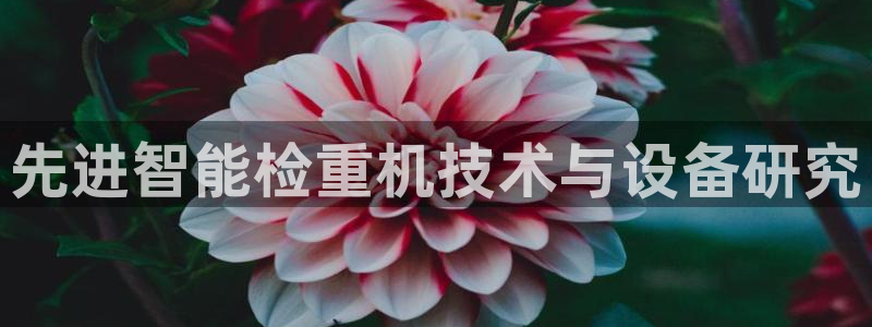 辉达平台注册资金多少：先进智能检重机技术与设备研究