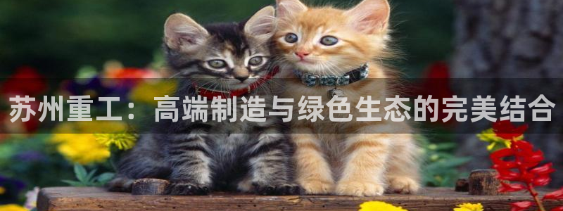 代理辉达娱乐开户注册：苏州重工：高端制造与绿色生态的完美结合