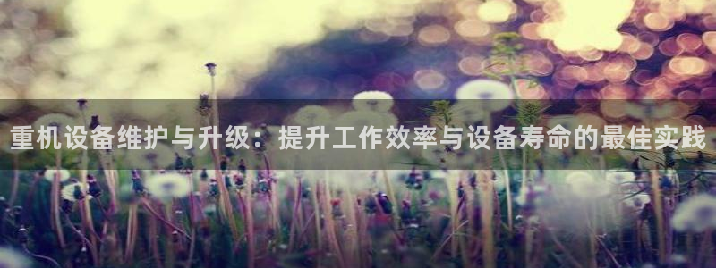 辉达娱乐官网：重机设备维护与升级：提升工作效率与设备寿命的最