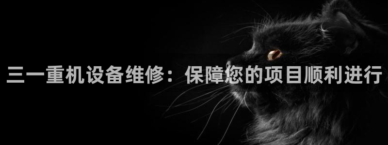 辉达娱乐丶39444：三一重机设备维修：保障您的项目顺利进行