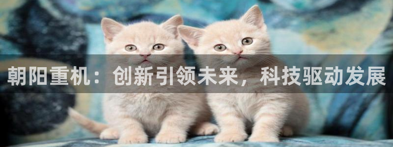 辉达娱乐游戏.直开.中国