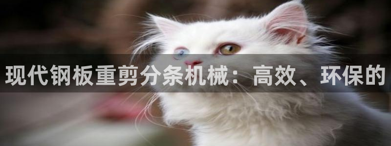 辉达娱乐加q75775