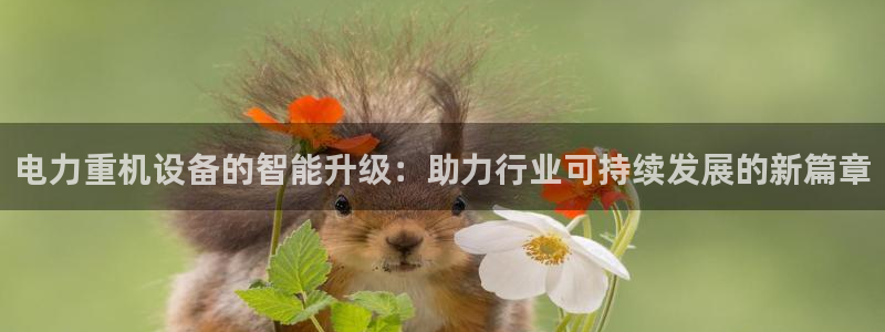 正规辉达娱乐开户注册