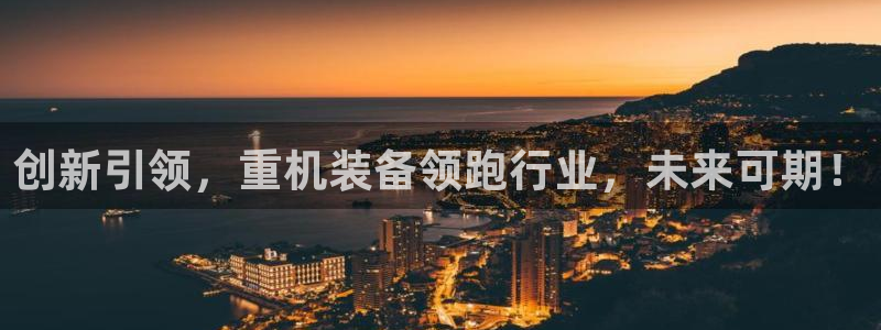 辉达集团官方网站