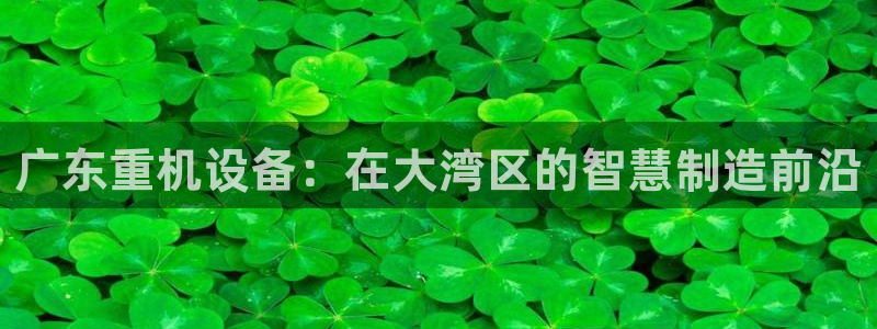 辉达娱乐最新消息新闻