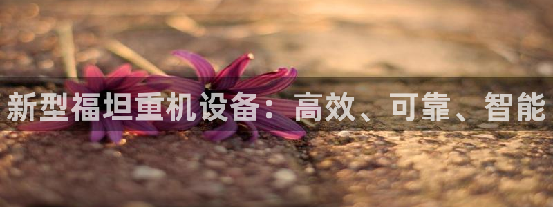 代理辉达娱乐平台