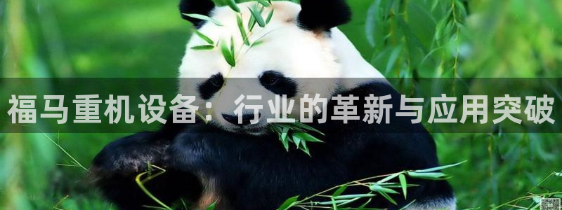 辉达集团官方网站