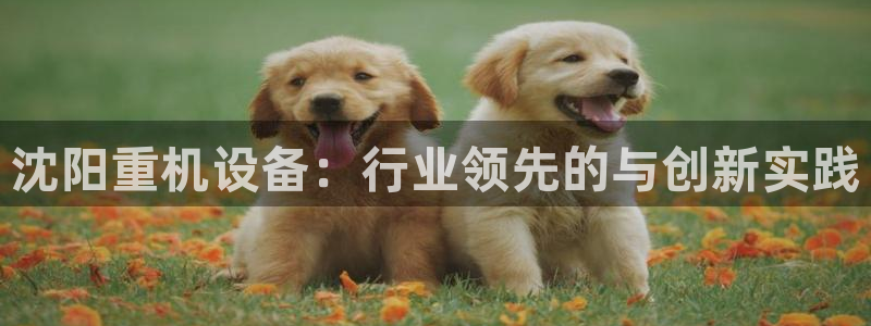 恒达娱乐辉70667