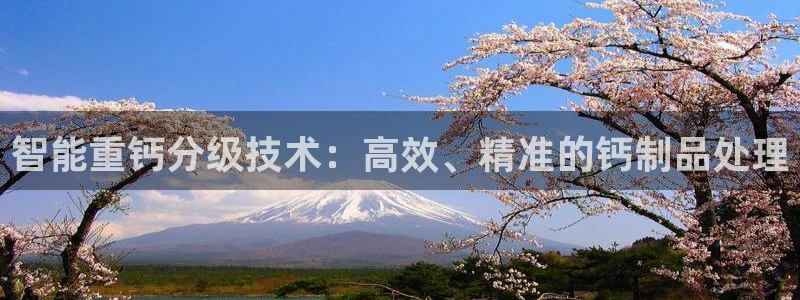 辉达官网登录入口入口