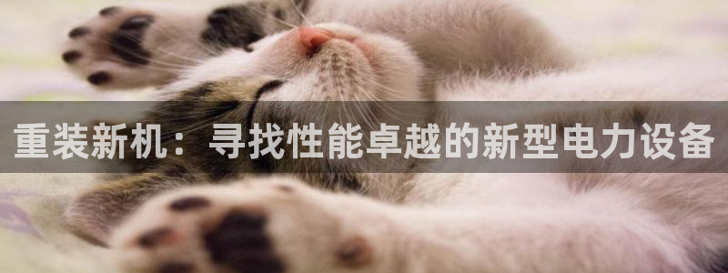 辉达集团官方网站