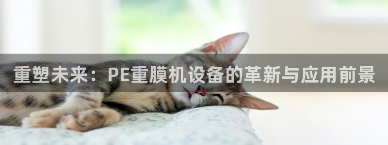 辉达娱乐己39444