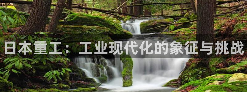 辉达娱乐丶75505