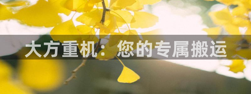 辉达娱乐正规吗