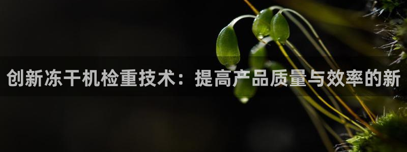 辉达娱乐珈75775