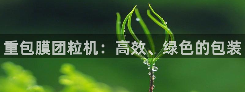 辉达娱乐己39444