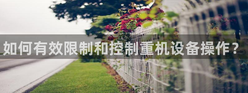 辉达娱乐丶75505