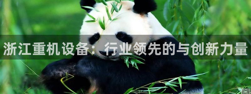 辉达娱乐加扣75775