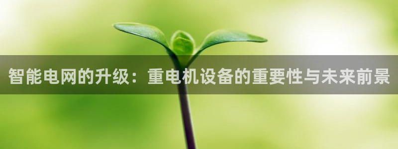 辉达娱乐丿39444