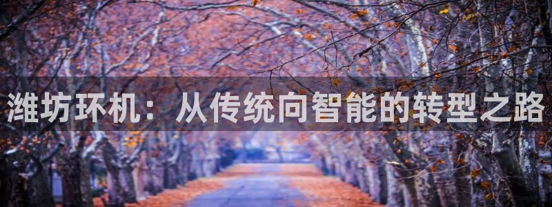 辉达娱乐时时彩