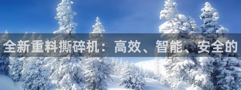 辉达平台官网下载