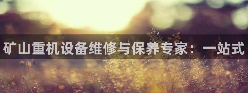 辉达娱乐珈75775