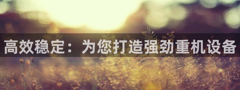 辉达平台注册入口