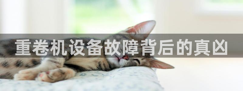 辉达平台注册资金多少