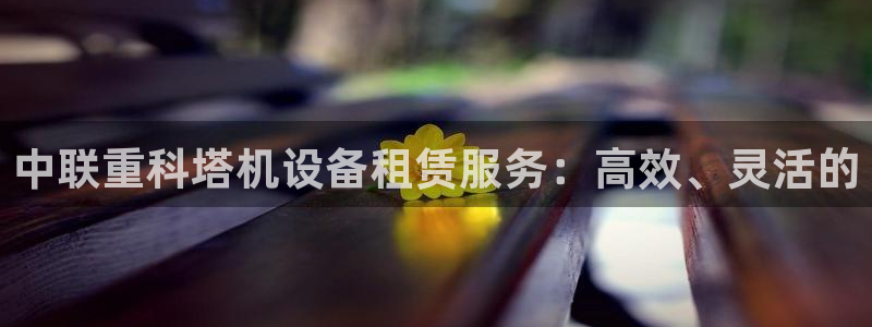 辉达平台注册资金多少