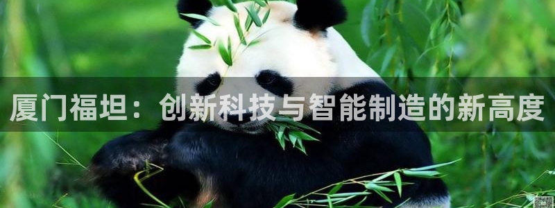 辉达平台注册流程