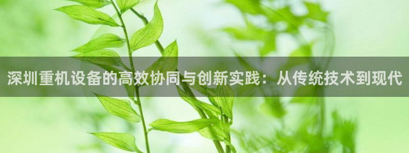 辉达娱乐广东11选5：深圳重机设备的高效协同与创新实践：从传