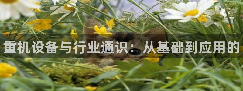 辉达娱乐彳75775：重机设备与行业通识：从基础到应用的