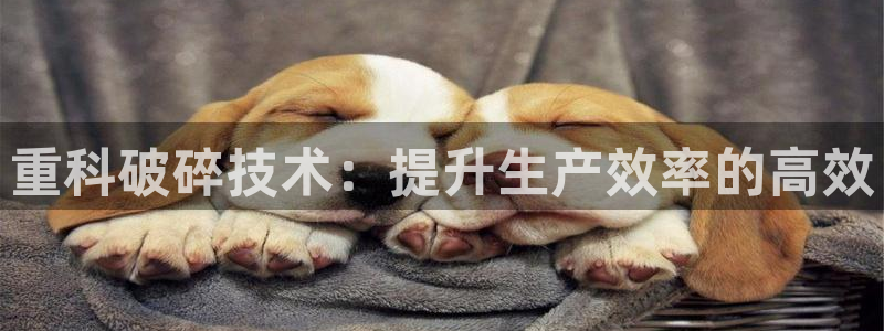 辉达娱乐重庆时时彩注册