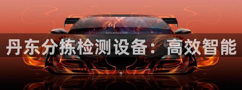 辉达平台注册流程：丹东分拣检测设备：高效智能