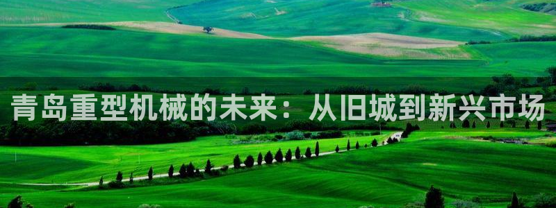 辉达娱乐丿39444