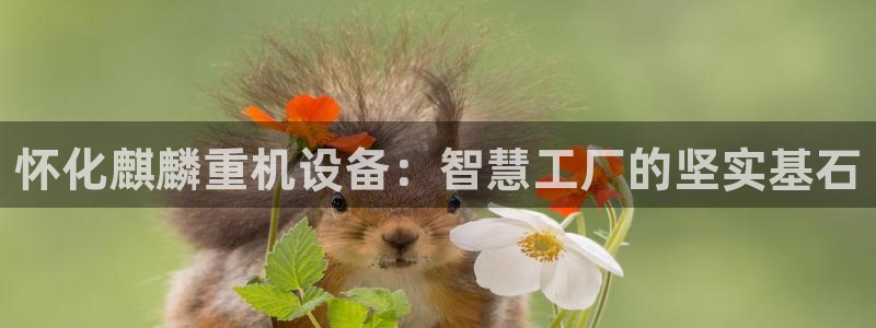 辉达娱乐最新消息新闻