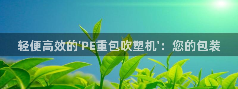 辉达娱乐重庆时时彩