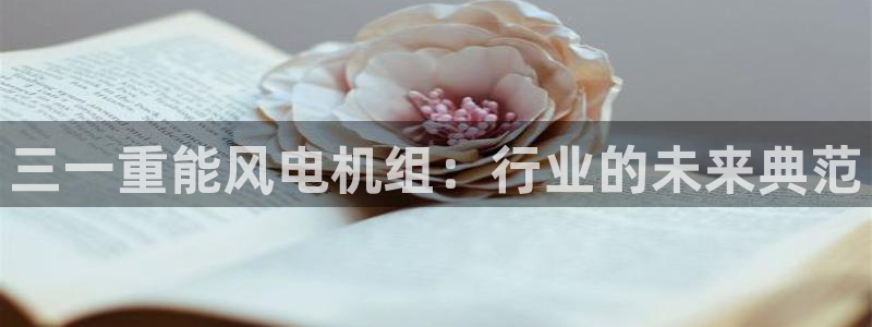 辉达官网登录入口入口