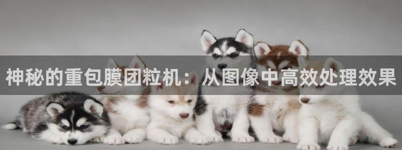 辉达娱乐时时彩