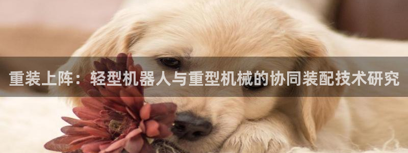 代理辉达娱乐开户注册