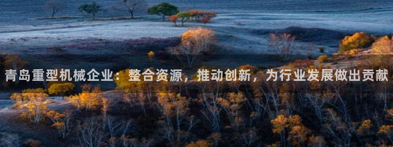 辉达娱乐多少年