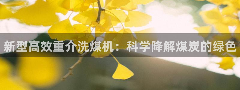 龙腾辉达电子娱乐：新型高效重介洗煤机：科学降解煤炭的绿色