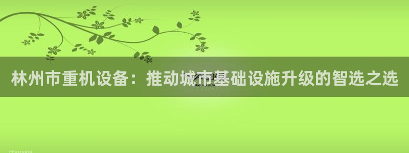 代理辉达娱乐平台：林州市重机设备：推动城市基础设施升级的智选