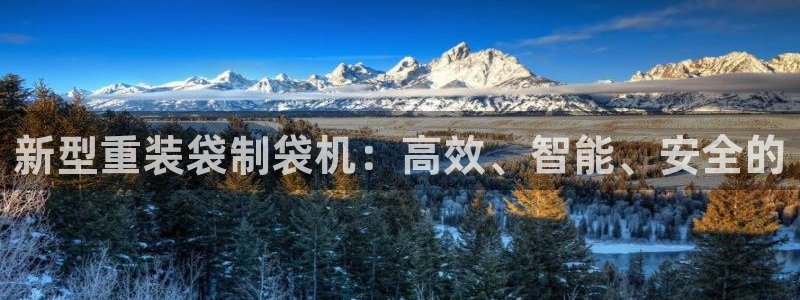 信誉辉达娱乐平台：新型重装袋制袋机：高效、智能、安全的