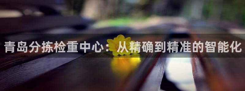 辉达娱乐时时彩平台：青岛分拣检重中心：从精确到精准的智能化