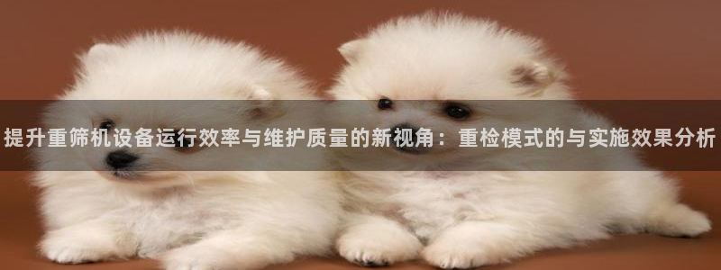 辉达平台官网登录：提升重筛机设备运行效率与维护质量的新视角：